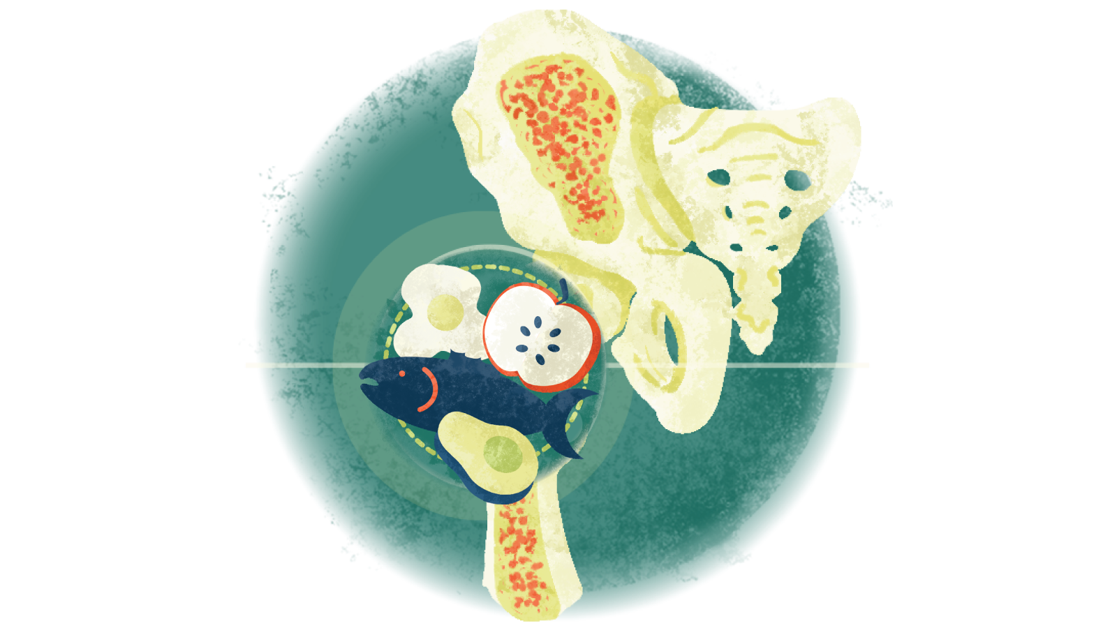 Illustration of four healthy foods over a bone with osteoporosis