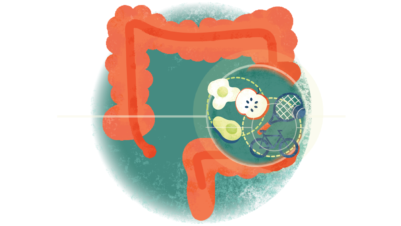 Illustration of an egg, avocado and apple in a circle; bicycle and tennis racket in another circle over a colon with UC