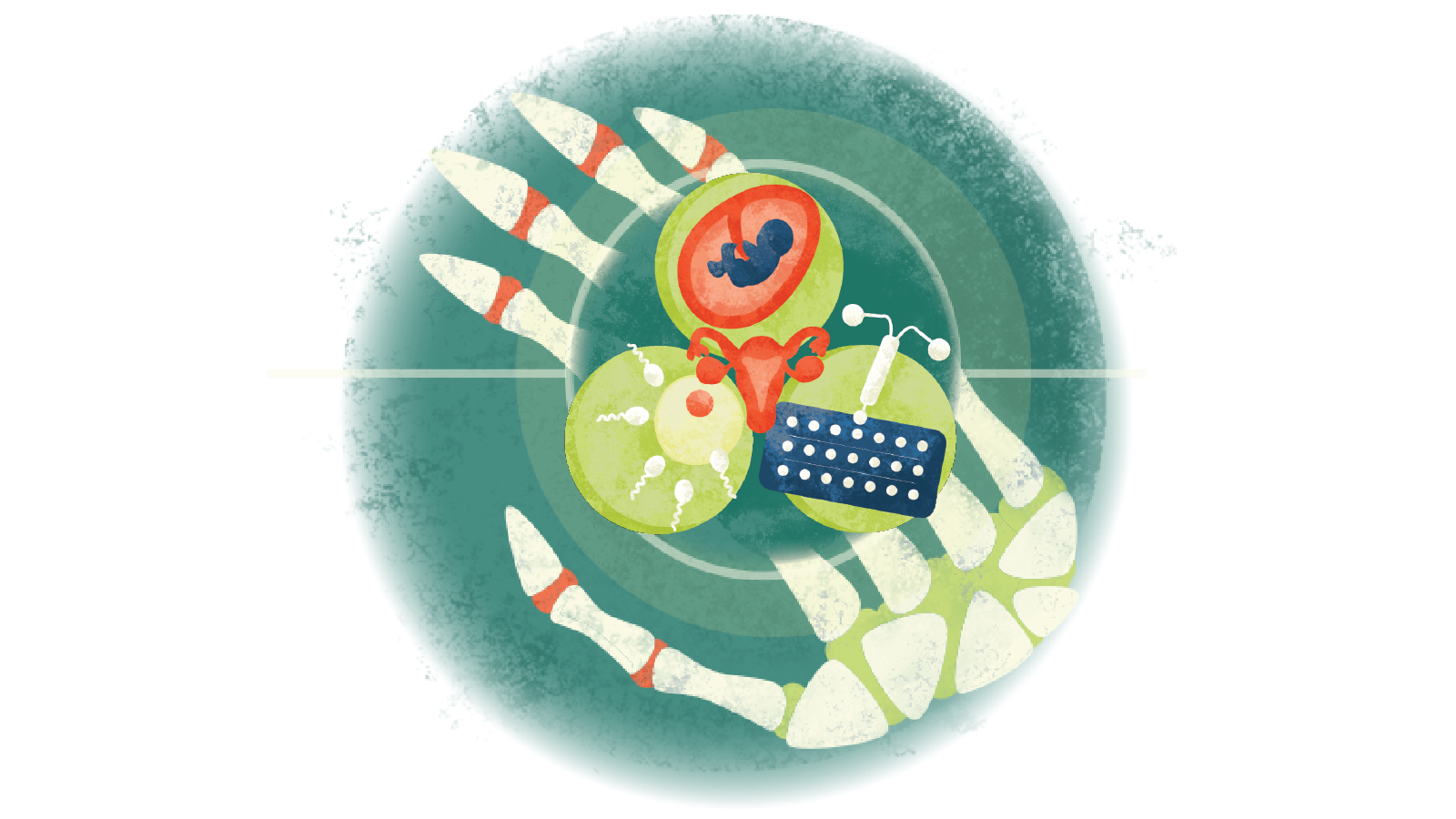 Illustration of sperm swimming towards egg, baby in uterus, fallopian tube and birth control pills, IUD over a skeletal hand 